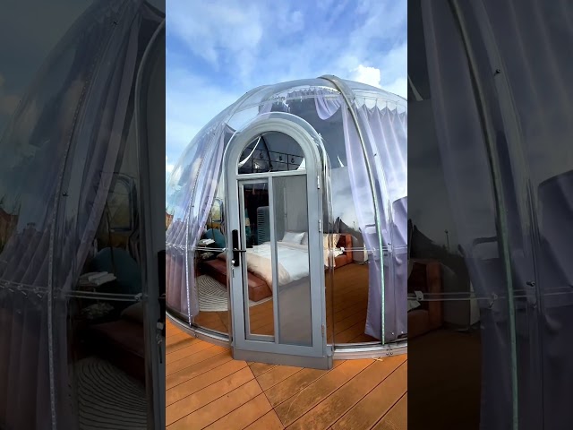 Experience the ultimate in luxury dining with our Dining Glamping Dome Tent! #glamping #diningdome