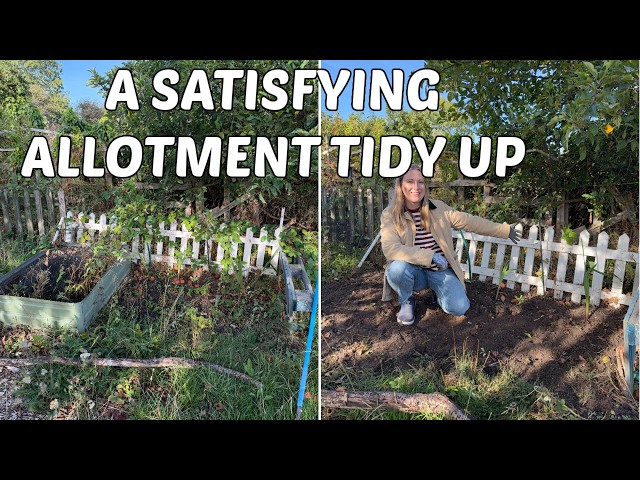 SATISFYING AUTUMN ALLOTMENT TIDY UP / ALLOTMENT GARDENING UK