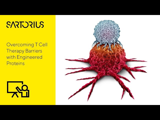 How to Overcome T Cell Therapy Barriers with Engineered Proteins; Webinar (Preview)