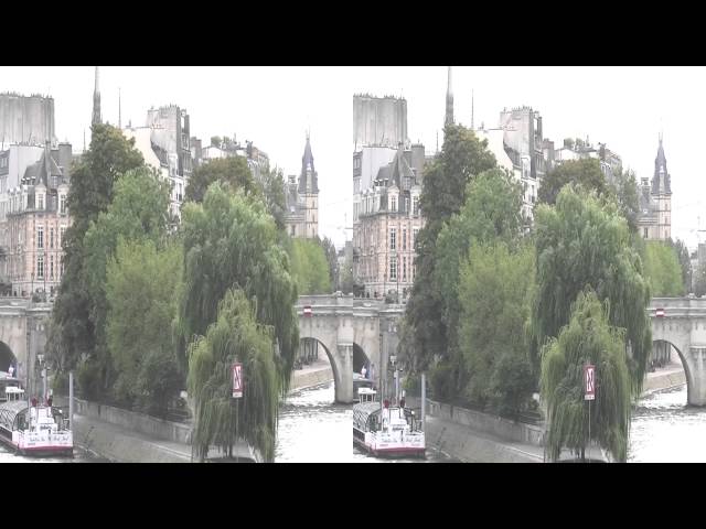 Paris, Pont des Arts in 3D, 2013