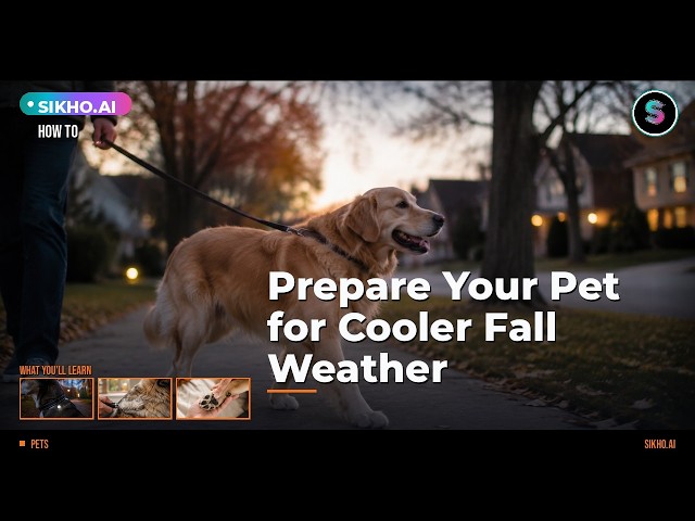 How to Prepare Your Pet for Cooler Fall Weather Step by Step | Sikho.ai