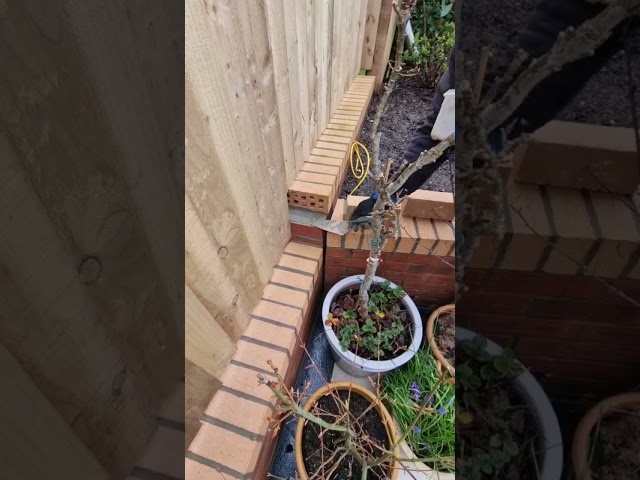 Posh Bricks in the Wall