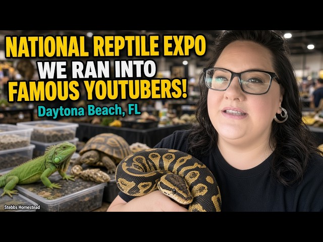 2026 National Reptile Breeders Expo - Daytona Part 2
