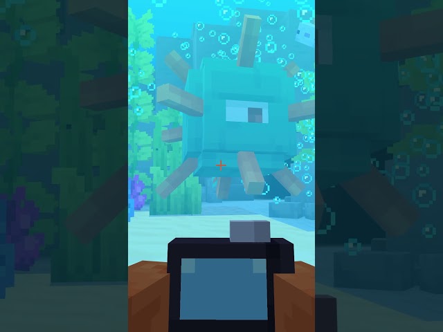 Discover underwater wonders! 🐟🫧 #minecraft #minecraftshorts #minecraft15