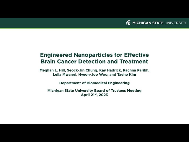 Engineered Nanoparticles for Effective Brain Cancer Detection and Treatment, Meghan Hill