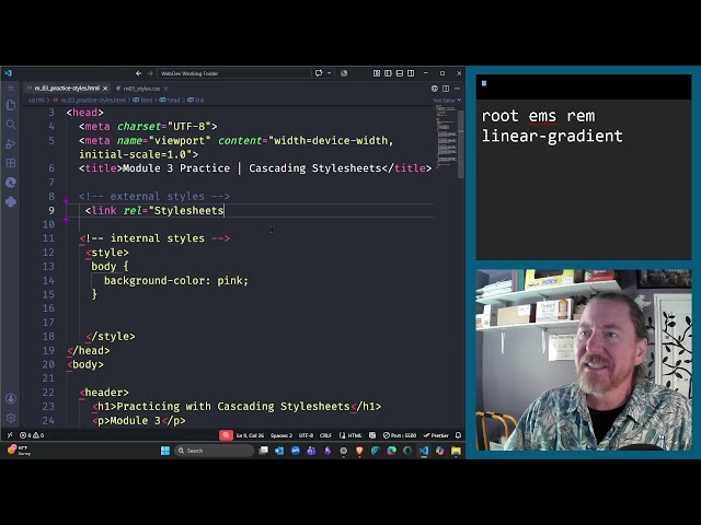 CIS195 Demo m_03 | Styling Webpages with External CSS