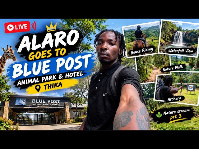 Alaro Goes To Blue Post nature stream prt3