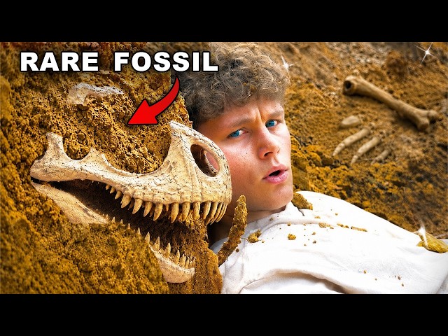 I Mined a Fossil Site