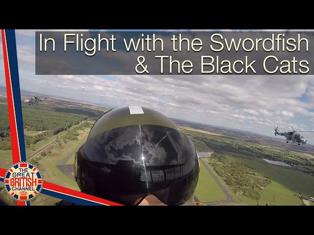 In Flight with the Swordfish & The Black Cats