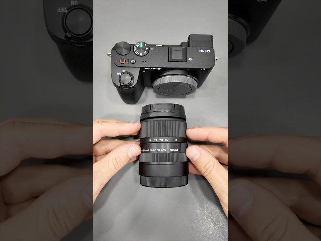 One Amazing Lens Every Beginner Needs