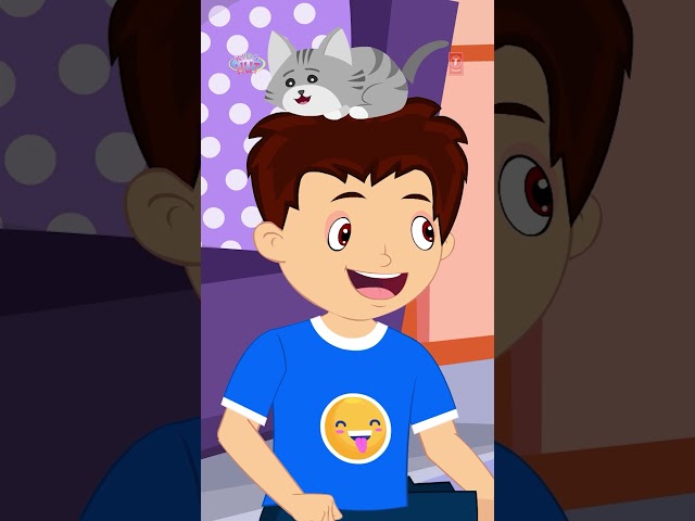🌟 The Kitten Who Needed Help 🐾 | Moral Story for Kids #Shorts