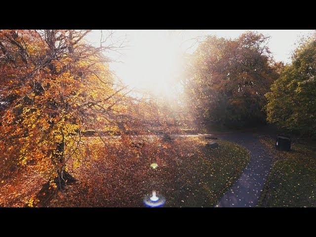 Parks and Green Spaces – studying at Newcastle University