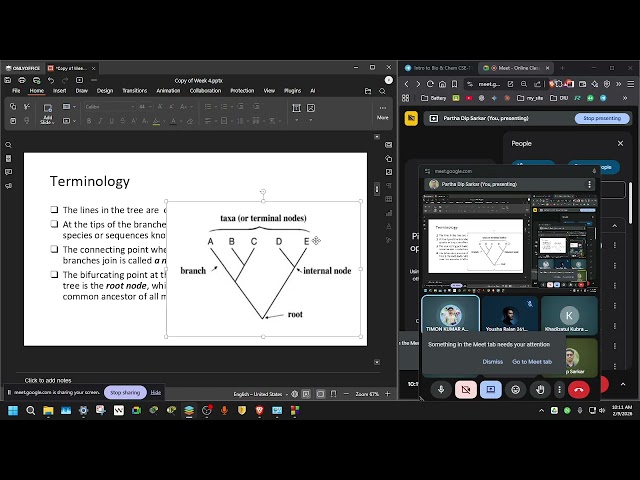 CSE115, 71_B, Spring 2026 , Phylogenetic Tree Construction, 2026 02 09 10 04 30