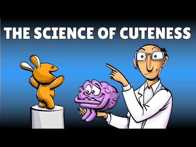 Baby Schema: The Science of Cuteness