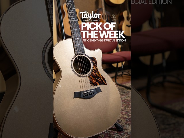 TAYLOR WEEK AT ALAMO MUSIC