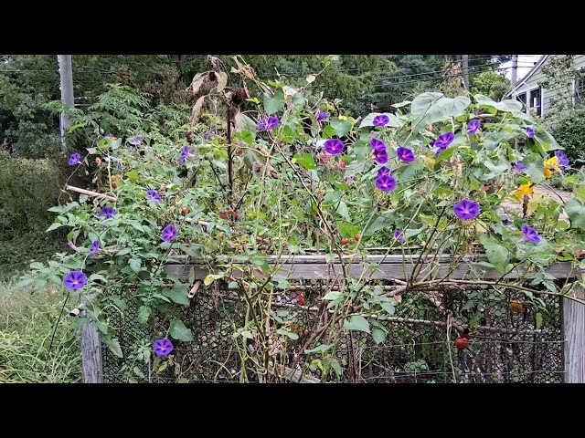 The Astrology of September 13, 2026: Brilliant ideas...