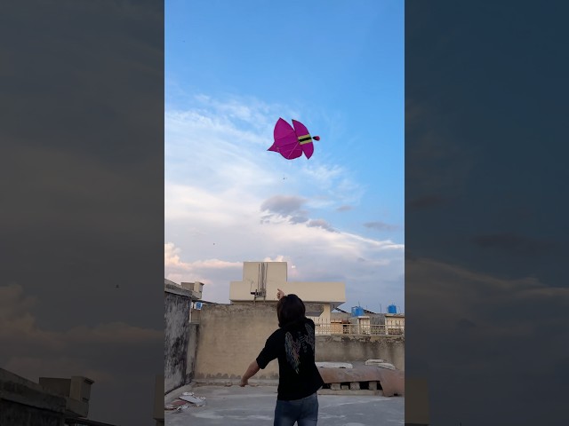 Itani payari tukal pkr li 😍 #short #kiteflying #youtubeshorts