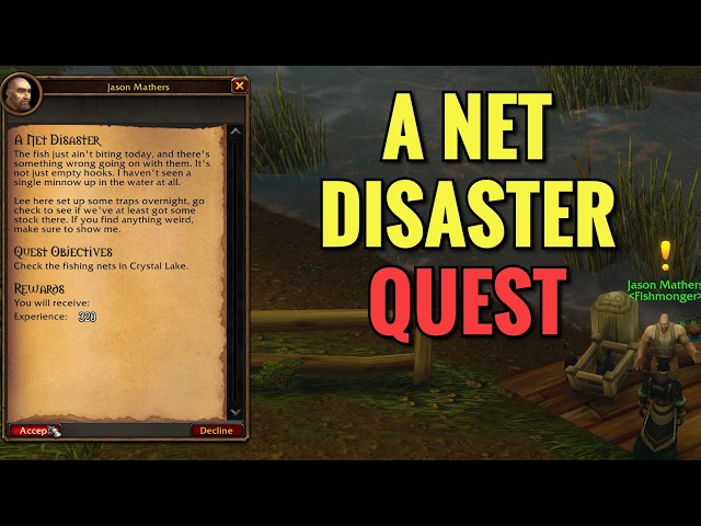 A Net Disaster Quest (WoW Forever)