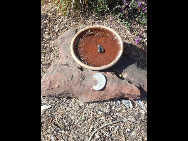 Episode 4   My Medicine Wheel Journey to Self Healing