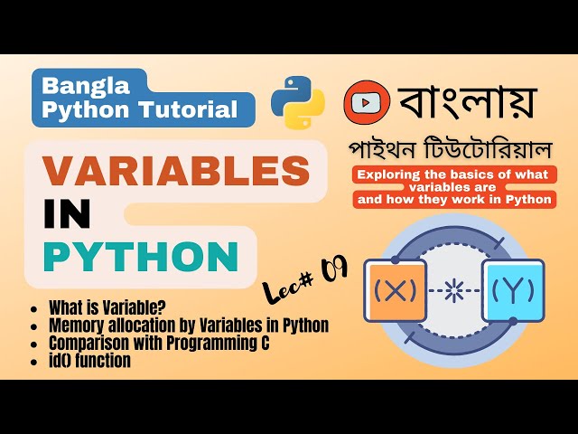 পাইথন #9:  Python  Variables: Understanding Memory Allocation and Comparison with C |Bangla Tutorial