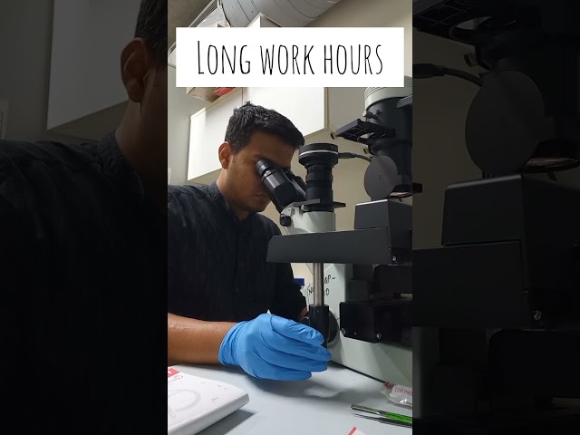 PhD is tough