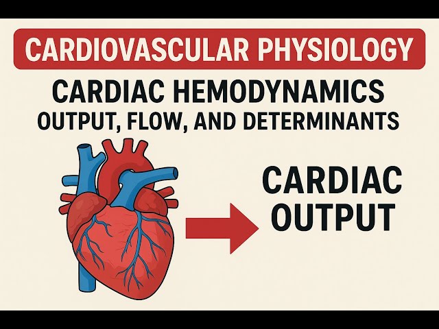 CARDIAC HEMODYNAMICS Part 1  : CO and Determinants  // USMLE STEP 1 podcast