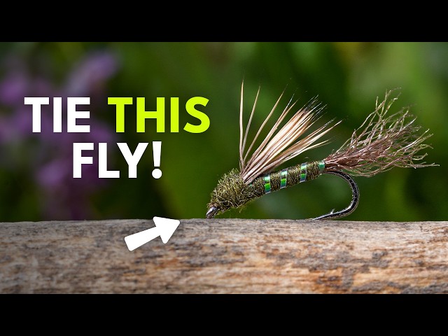 How To Tie the Half-Baked Caddis (Step-by-Step) | Fly Tying Tutorial