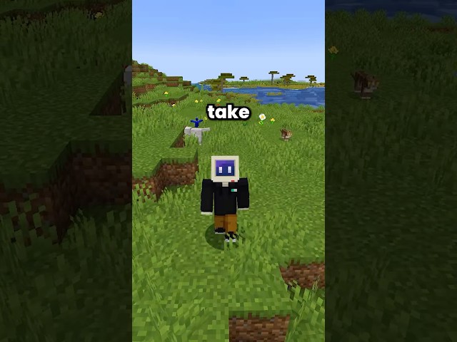 Fastest MOB In Minecraft! #minecraft