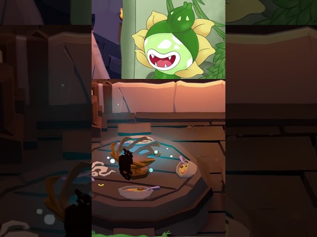 what do you think of my taste in decorating?