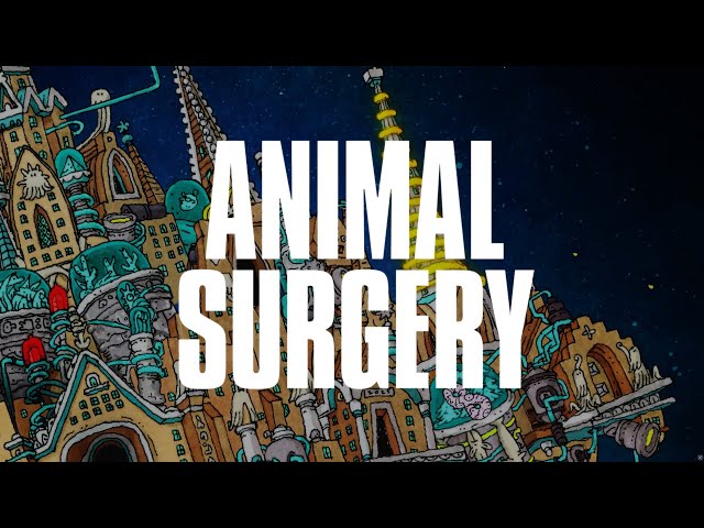 Dance Gavin Dance - Animal Surgery (Official Visualizer)