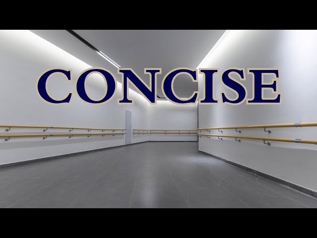 What is the meaning of Concise?