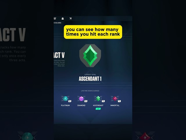 NEW RANK LEGACY IN VALORANT!