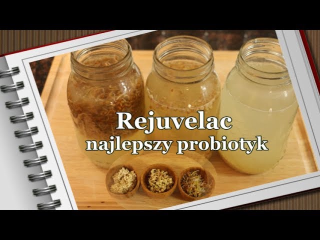 Gut medicine and the best probiotic drink? - REJUVELAC
