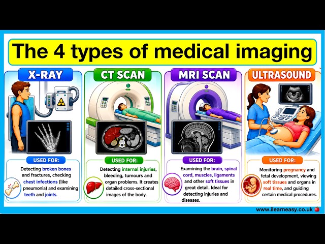 Types of imaging: X-RAY, MRI, CT, ULTRASOUND ✅ | How they work and what they are used for