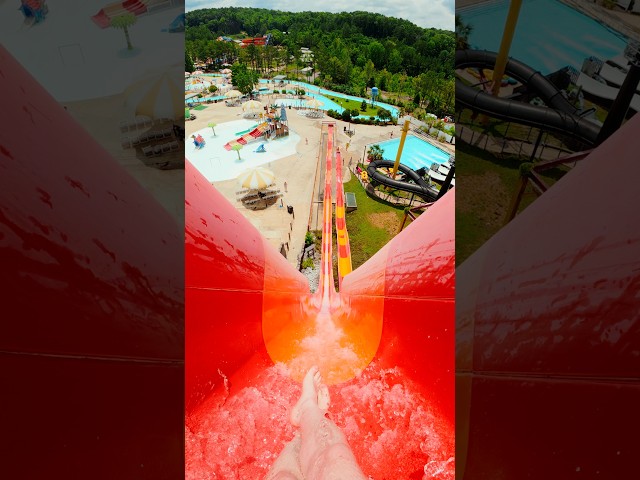 Would you ride this Freefall water slide? 😱 #shorts #waterpark