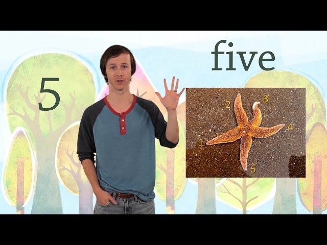 5: The Number Five - Kids Learn to Count Numbers