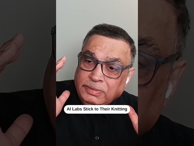 AI Labs Stick to Their Knitting