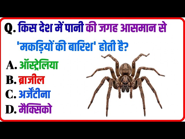 Kis Desh Me Makdiyon Ki Barish Hoti Hai? | 20 Most Amazing GK Questions | GK In Hindi 2026