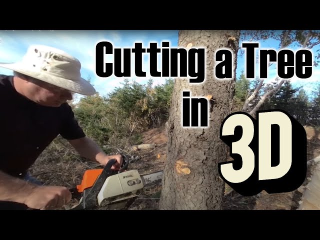 Cutting down a tree in 3d 180 VR video