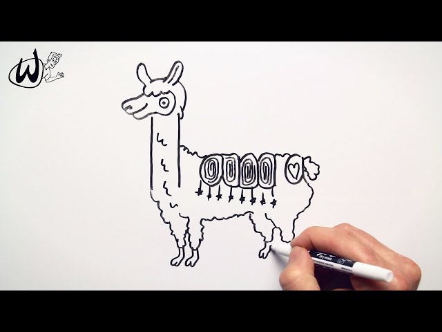 How to Draw a llama - Drawing Doodle Words to Cartoon