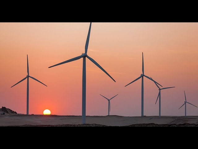 Decarbonisation and Energy Transition: Power Sector