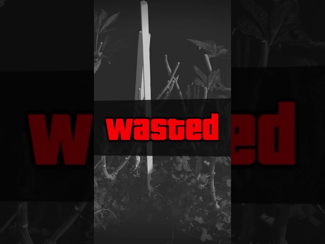 Grand Theft Auto-flower