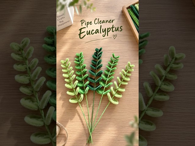 🌿 Pipe Cleaner Eucalyptus | Easy DIY Handmade Greenery #shorts #pipecleanercrafts