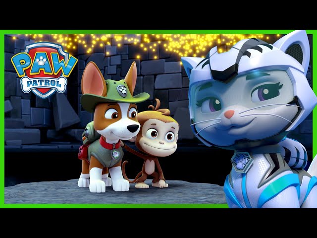 Rory Saves Leo and Tracker 🐕 | PAW Patrol Episode | Cartoons for kids