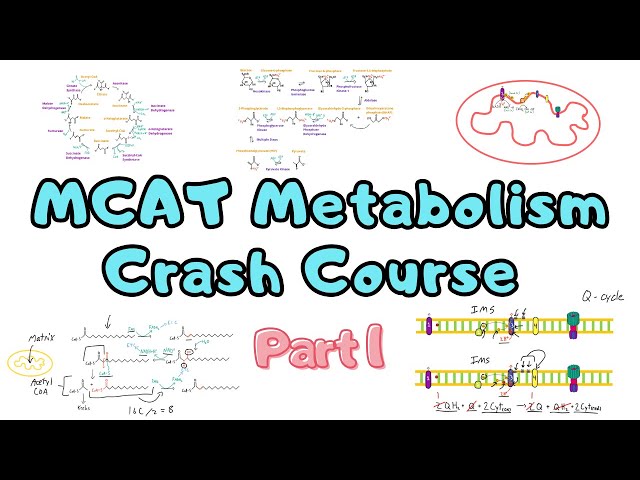 MCAT Metabolism Crash Course (Part 1): Glycolysis through ATP Synthase and Everything in Between