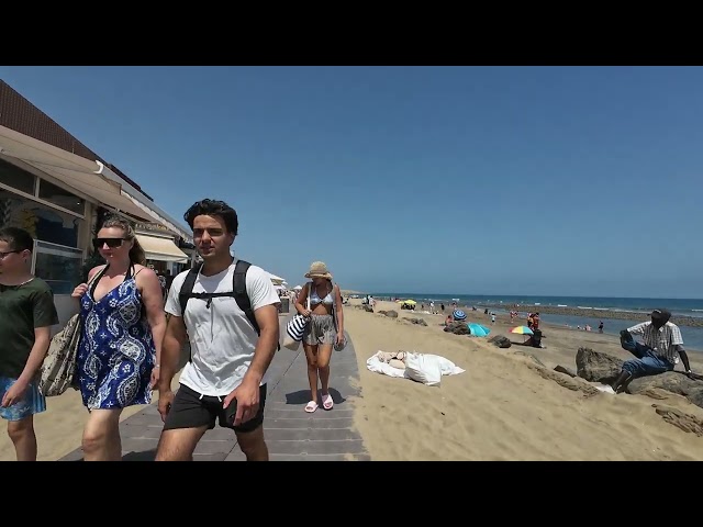 Around the Faro...
