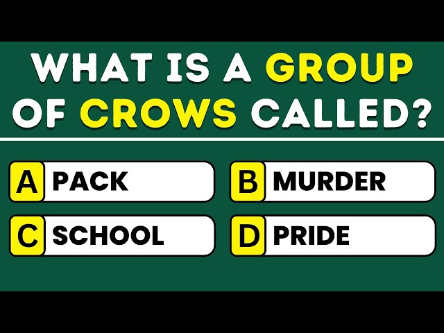 Can You Score 30 Out of 50? 🤔 Take This General Knowledge Quiz!