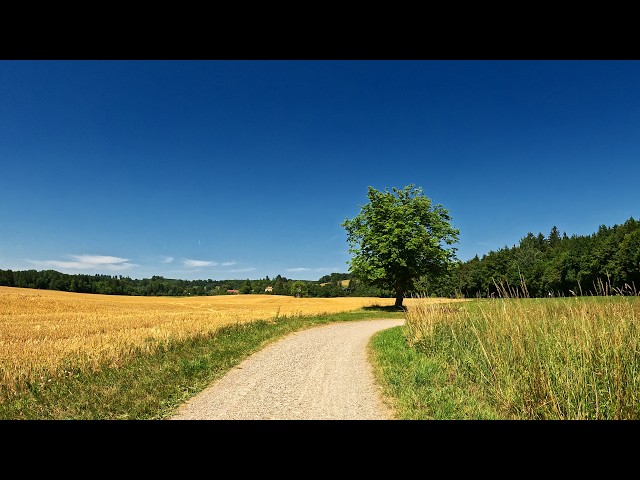 🚴‍♂️ Cycling Through Time: From Celtic Walls to Roman Villas | Bavarian Countryside 4K Bike Tour