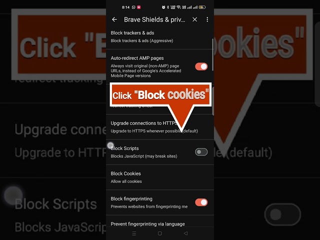 Ultimate Brave Browser Privacy Hardening Guide for Mobile Users in 2026 #shorts #viral