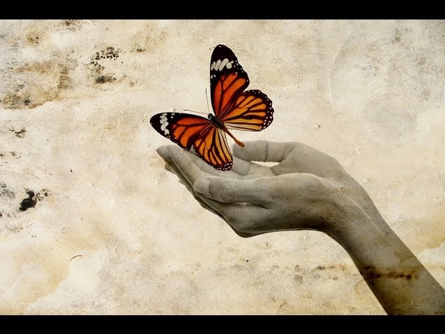 Letting Go: A Guided Meditation, The Magic Book, Spoken Word Guided  Visualization, Waterfall Relax